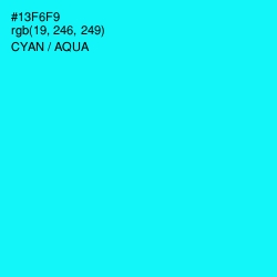 #13F6F9 - Cyan / Aqua Color Image